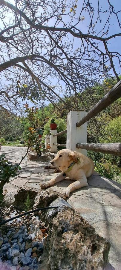 Molino Laroya Villa ภายนอก รูปภาพ